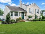 8-web-or-mls-DSC01264-1