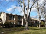 Shadow Lake Village