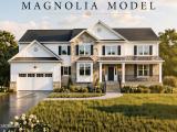Magnolia Model